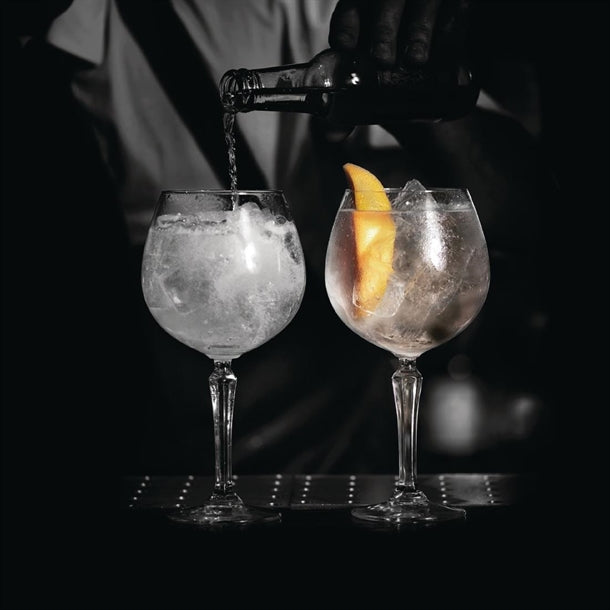 Onis Speakeasy Gin Cocktail Glasses 580ml/20.5oz (6 pack)