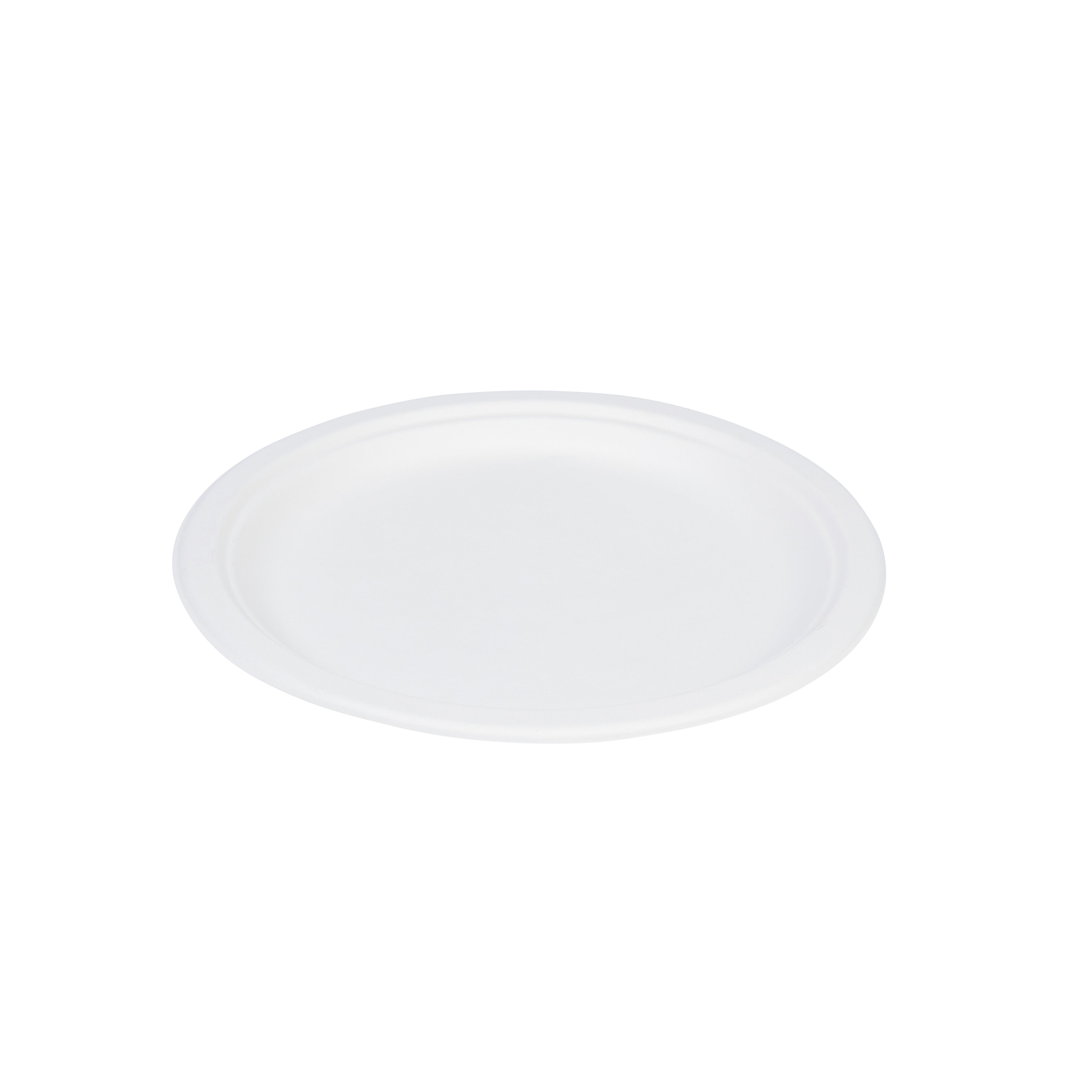 Bagasse Round Plate 10.5”/26cm
