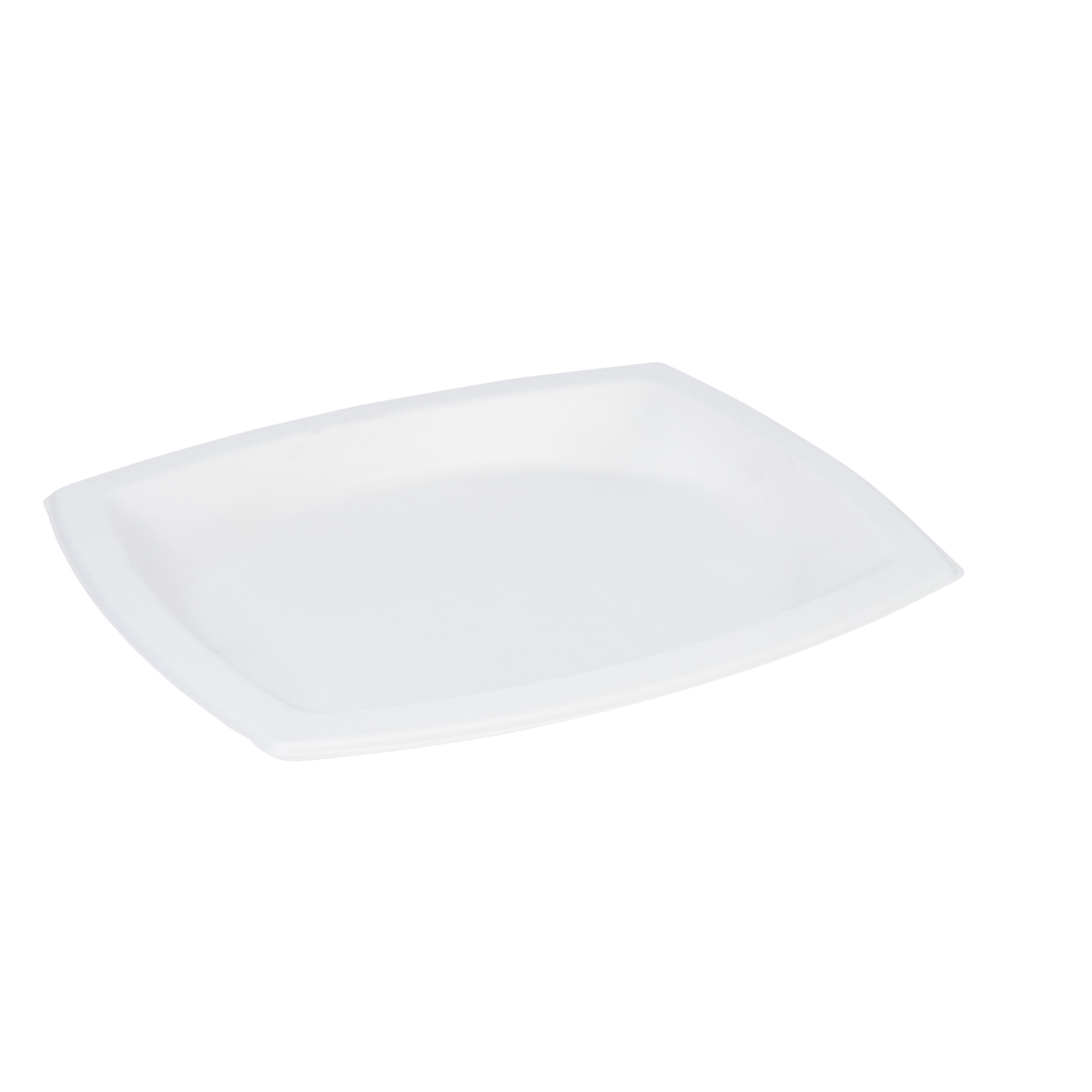 Bagasse Rectangular Plate 25x21cm.