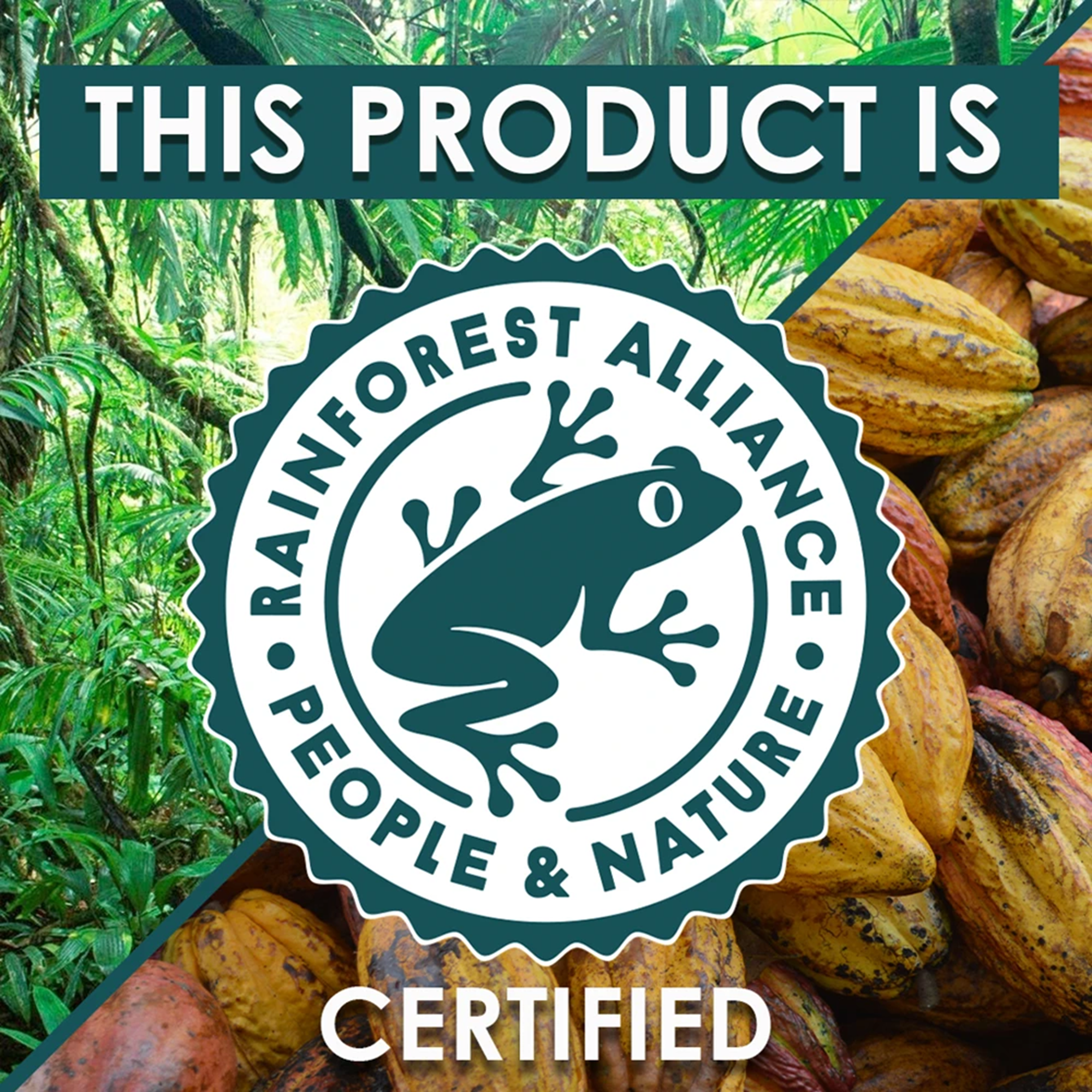 JMPOSNER Dark Chocolate 10kg