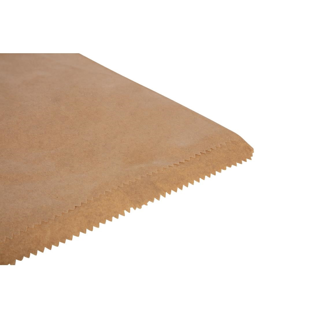 Fiesta Recyclable Brown Paper Counter Bags Large (1000 Pack)