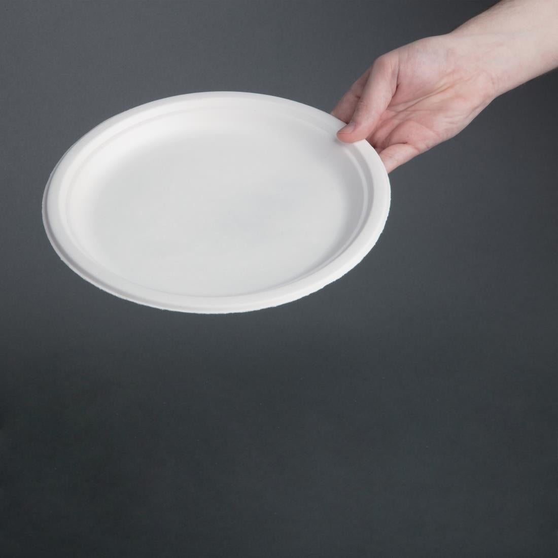 Fiesta Compostable Bagasse Plates Round 260mm (50 Pack)