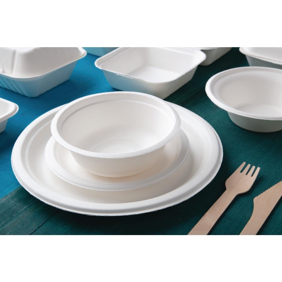 Fiesta Compostable Bagasse Plates Round 260mm (50 Pack)