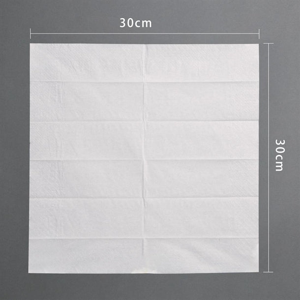 Fiesta Compostable Wooden Cutlery Meal Pack (250 pack)