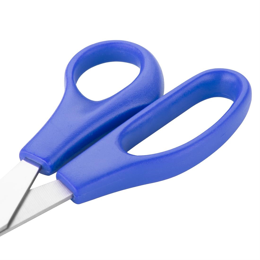 Hygiplas Blue Colour Coded Scissors