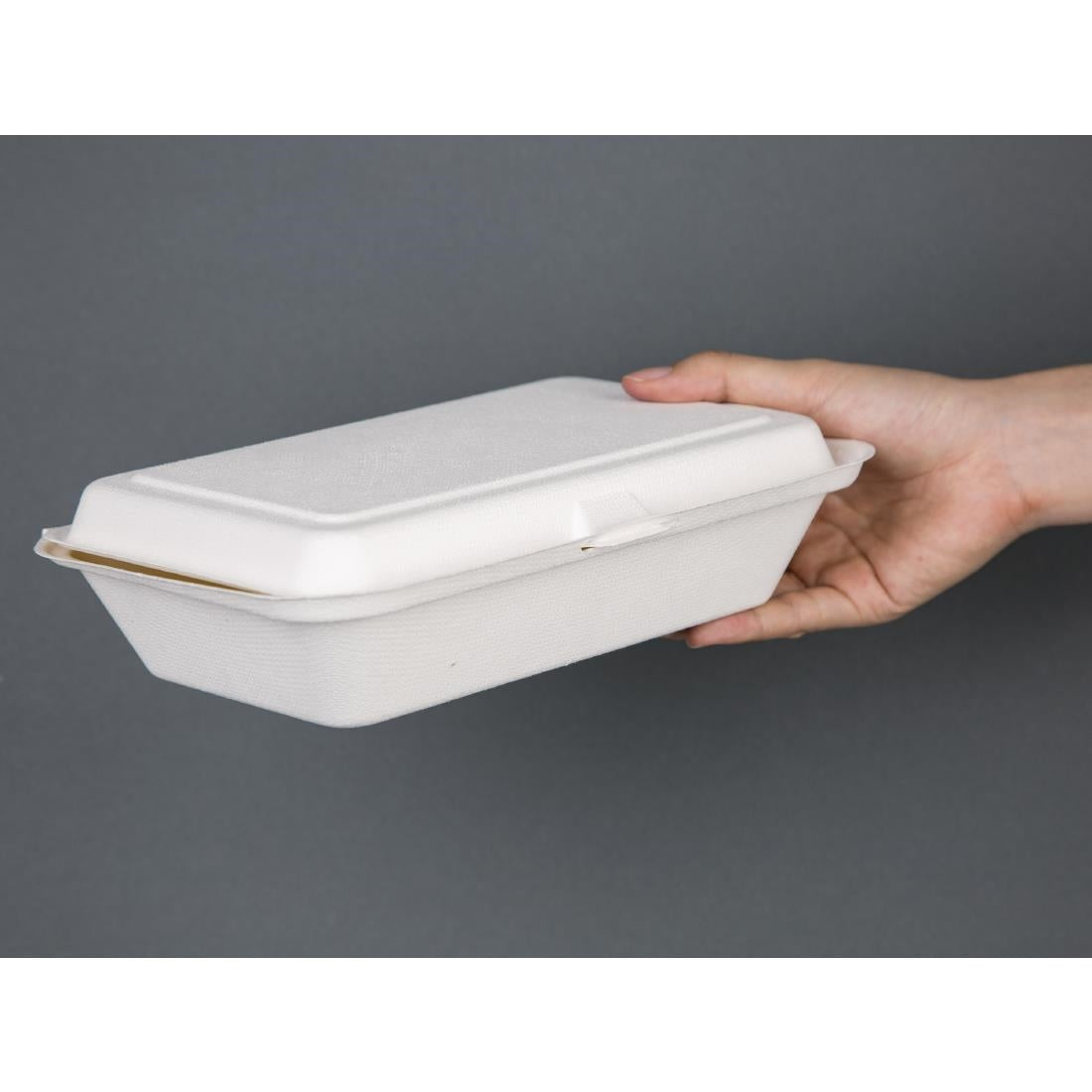Fiesta Compostable Bagasse Hinged Food Containers 248mm (250 Pack)