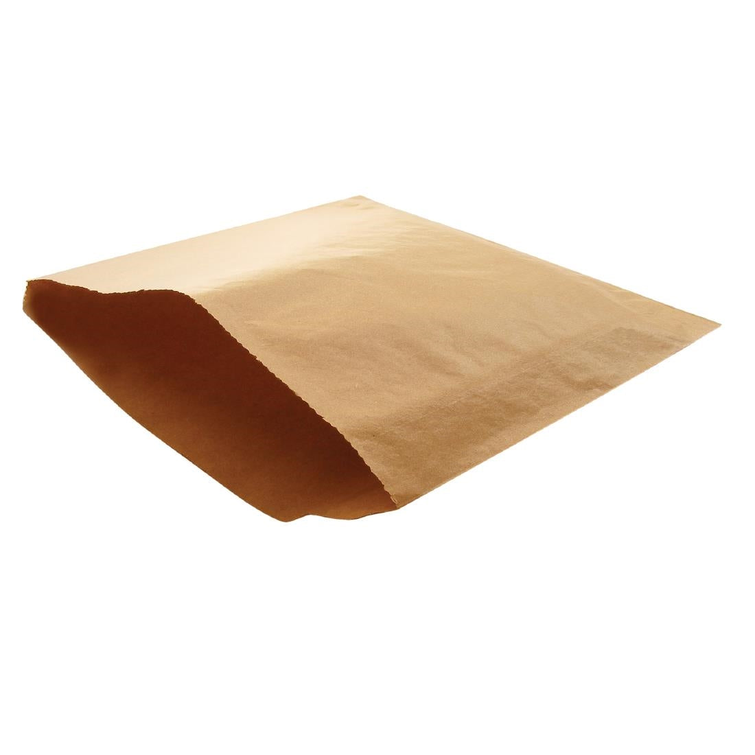 Fiesta Recyclable Brown Paper Counter Bags Large (1000 Pack)