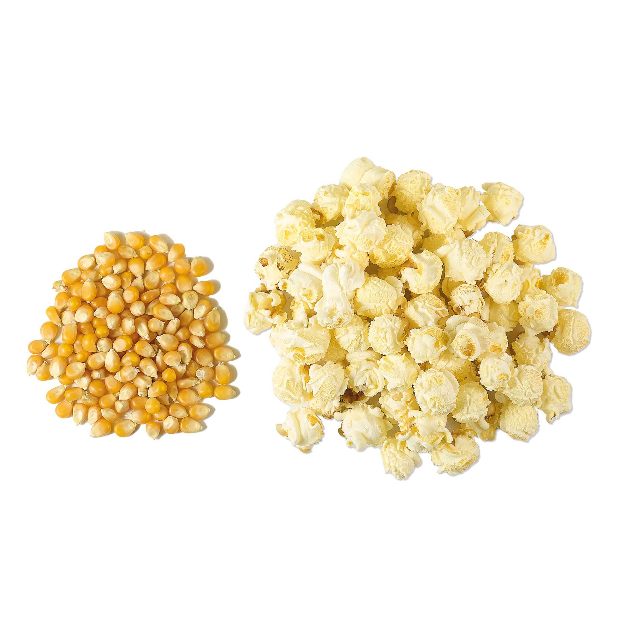 Monster Mushroom Popcorn Kernels 22.7kg