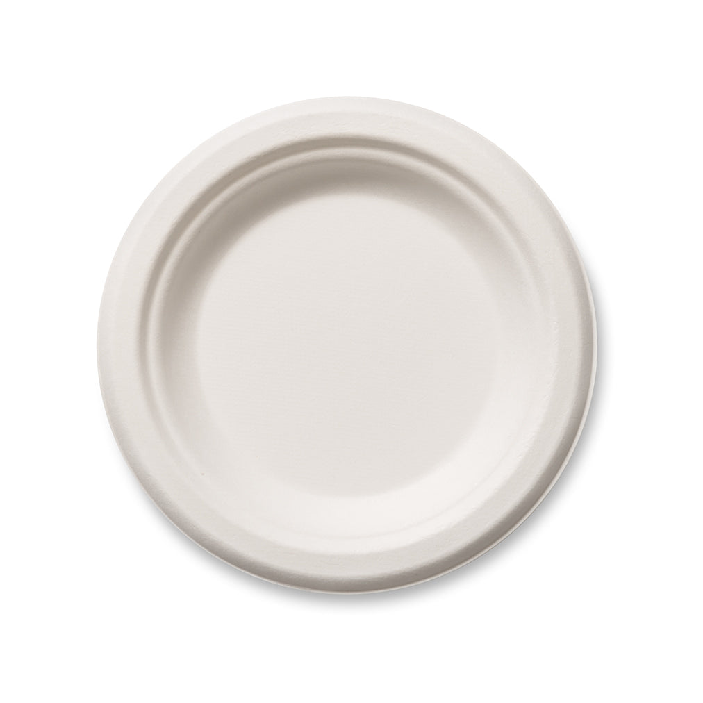 A plain white disposable plate.