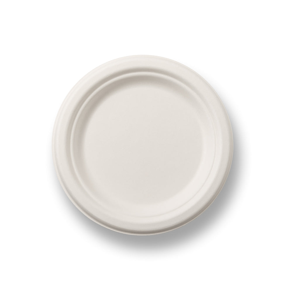 A plain white disposable plate viewed from above.
