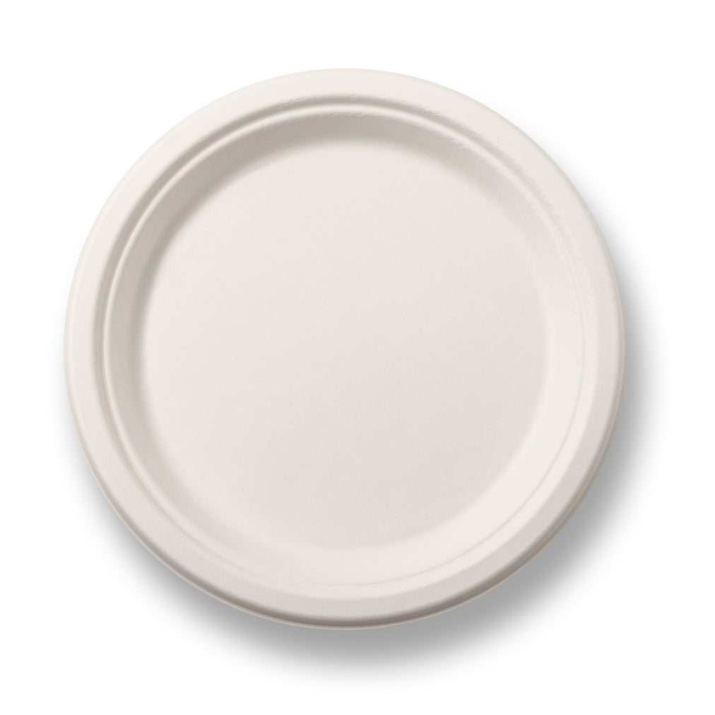 A plain white circular disposable plate.