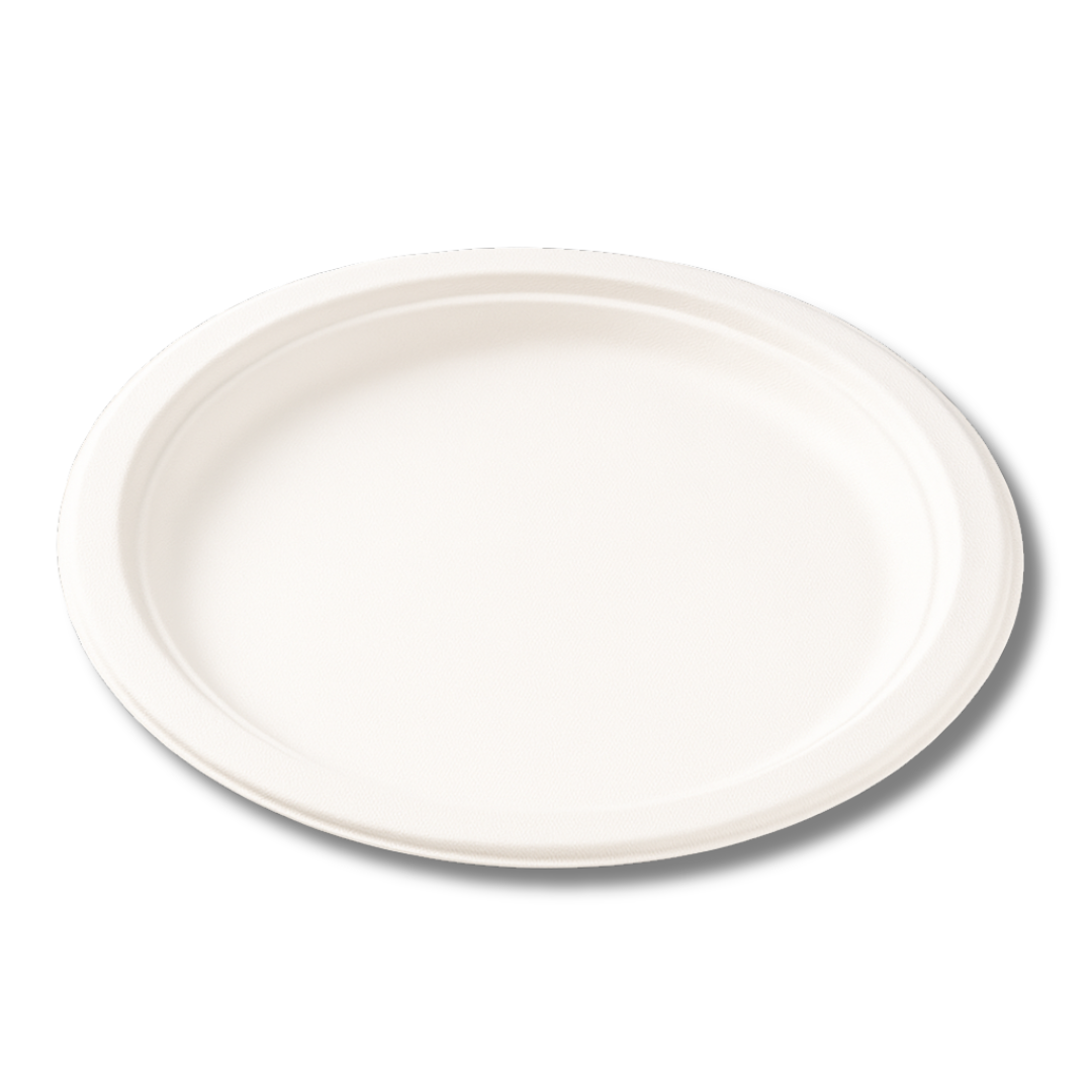 A plain white disposable paper plate.