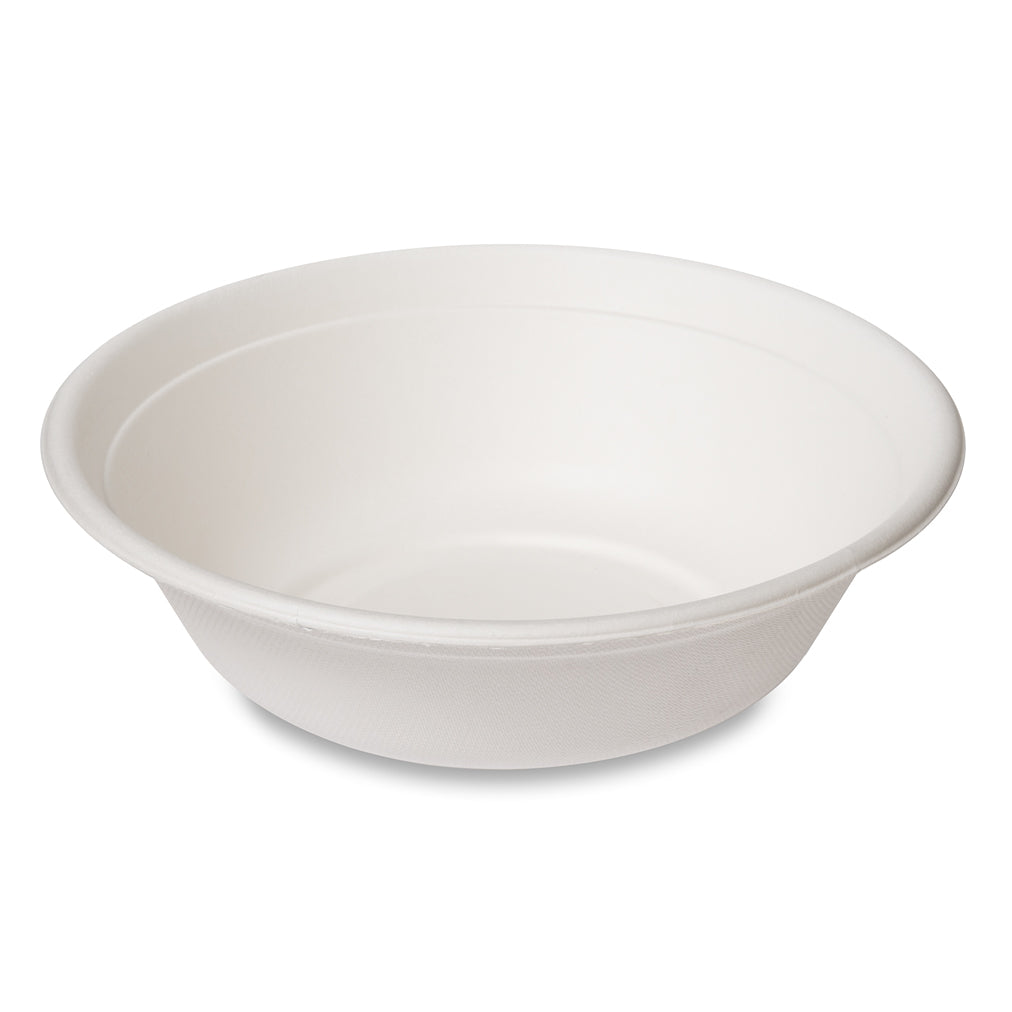 A plain, white, disposable bowl.