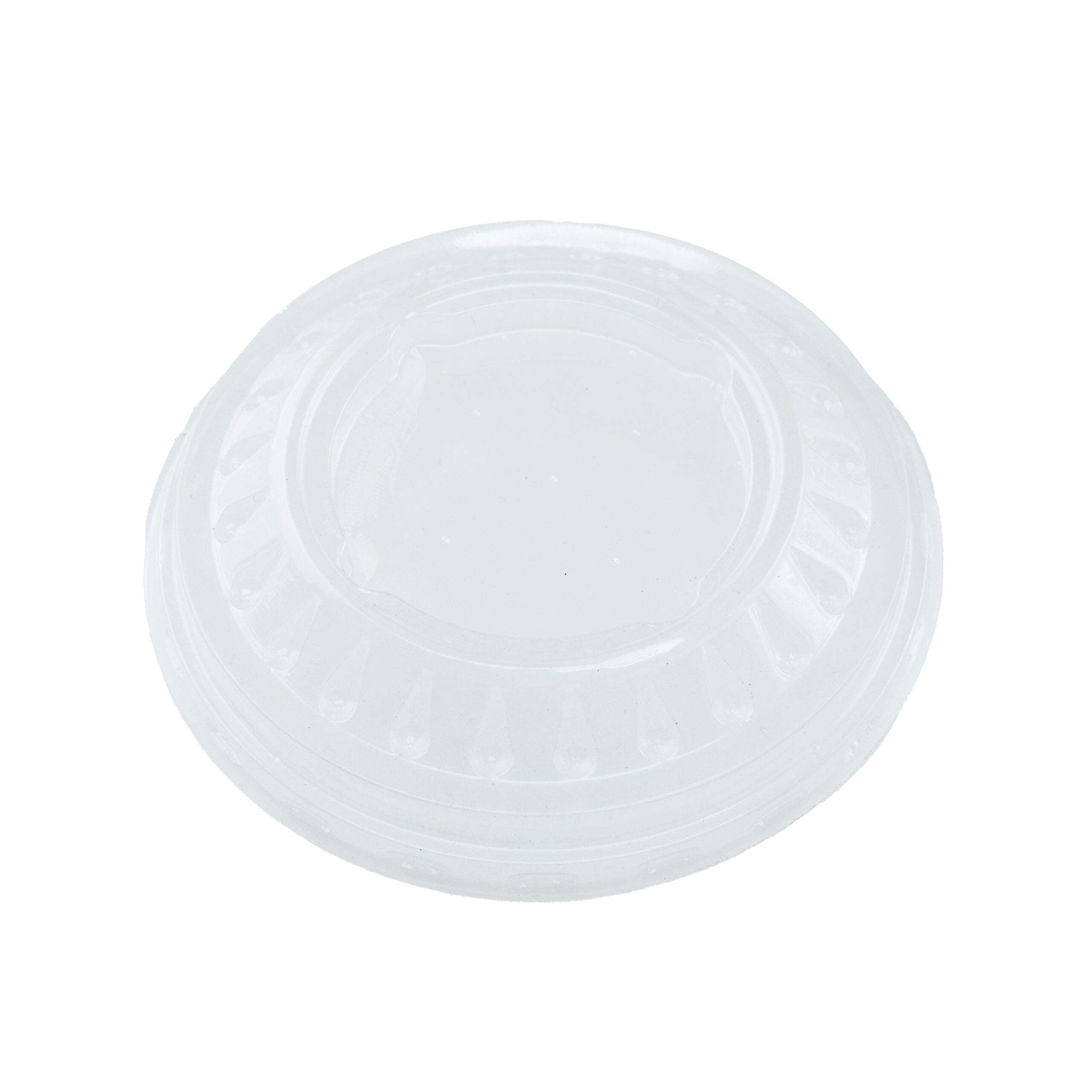 Clear plastic container lid.