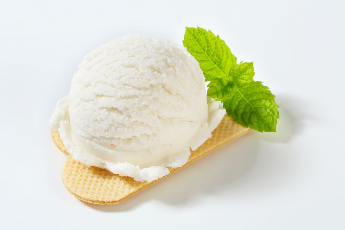 Cremo Linea Vegetal Ice Cream 2.5kg Vegan Base Universal
