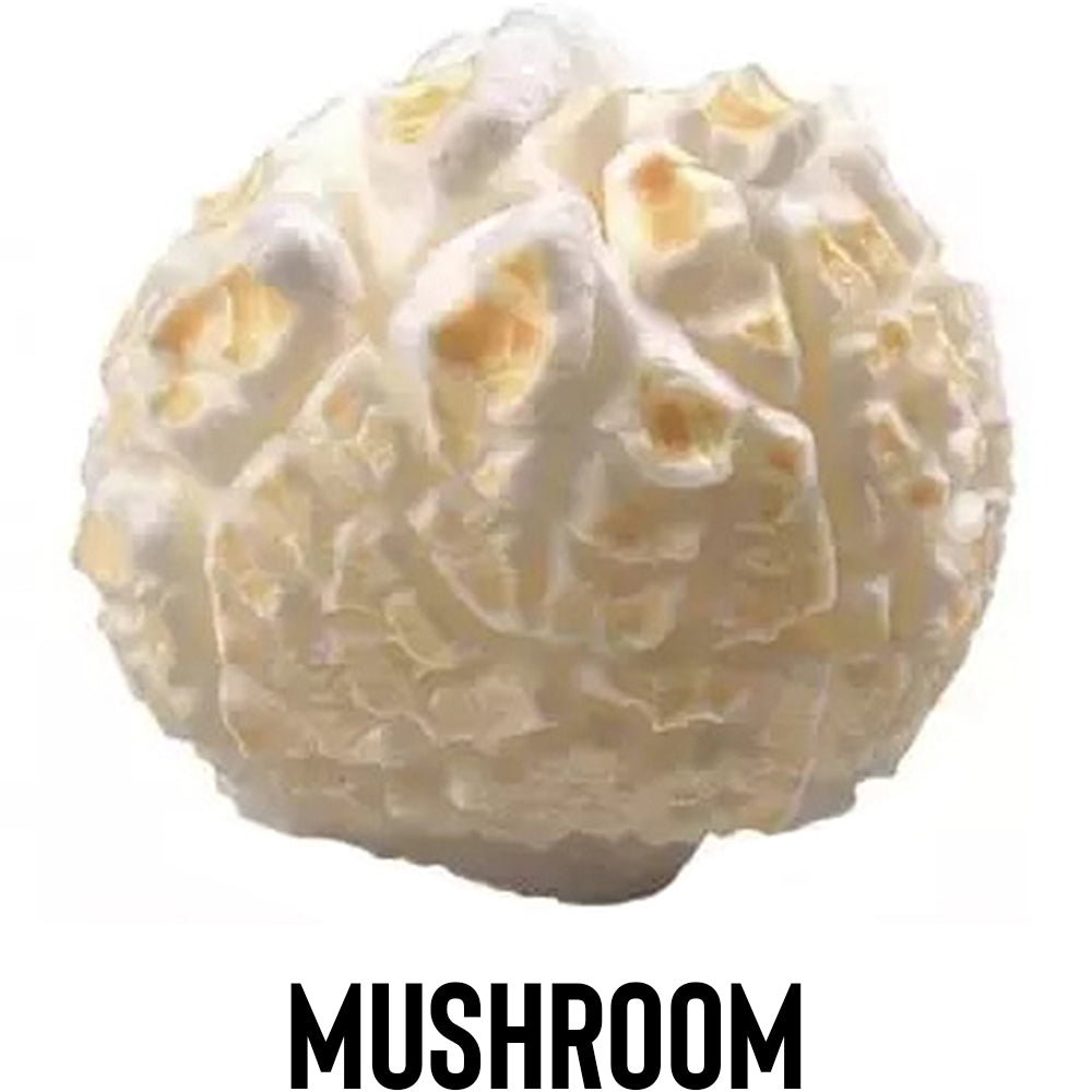 MUSHROOM