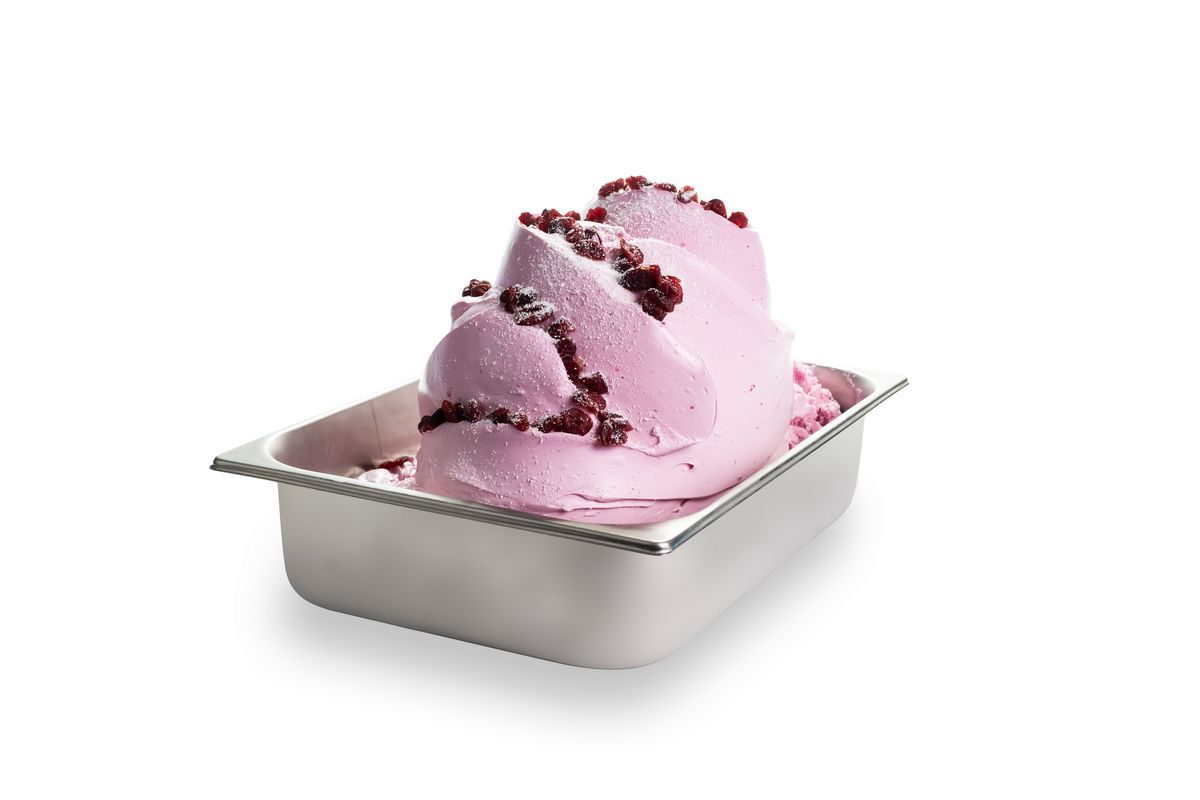 Container of Cremo Linea Technofruit, a smooth, high-fruit content preparation ideal for enhancing desserts, pastries, and ice creams with vibrant flavour and colour.