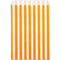Orange Candy Stripe Paper Bags [5