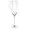 Chef & Sommelier Cabernet Tulip Champagne Flutes 240ml - Pack of 24