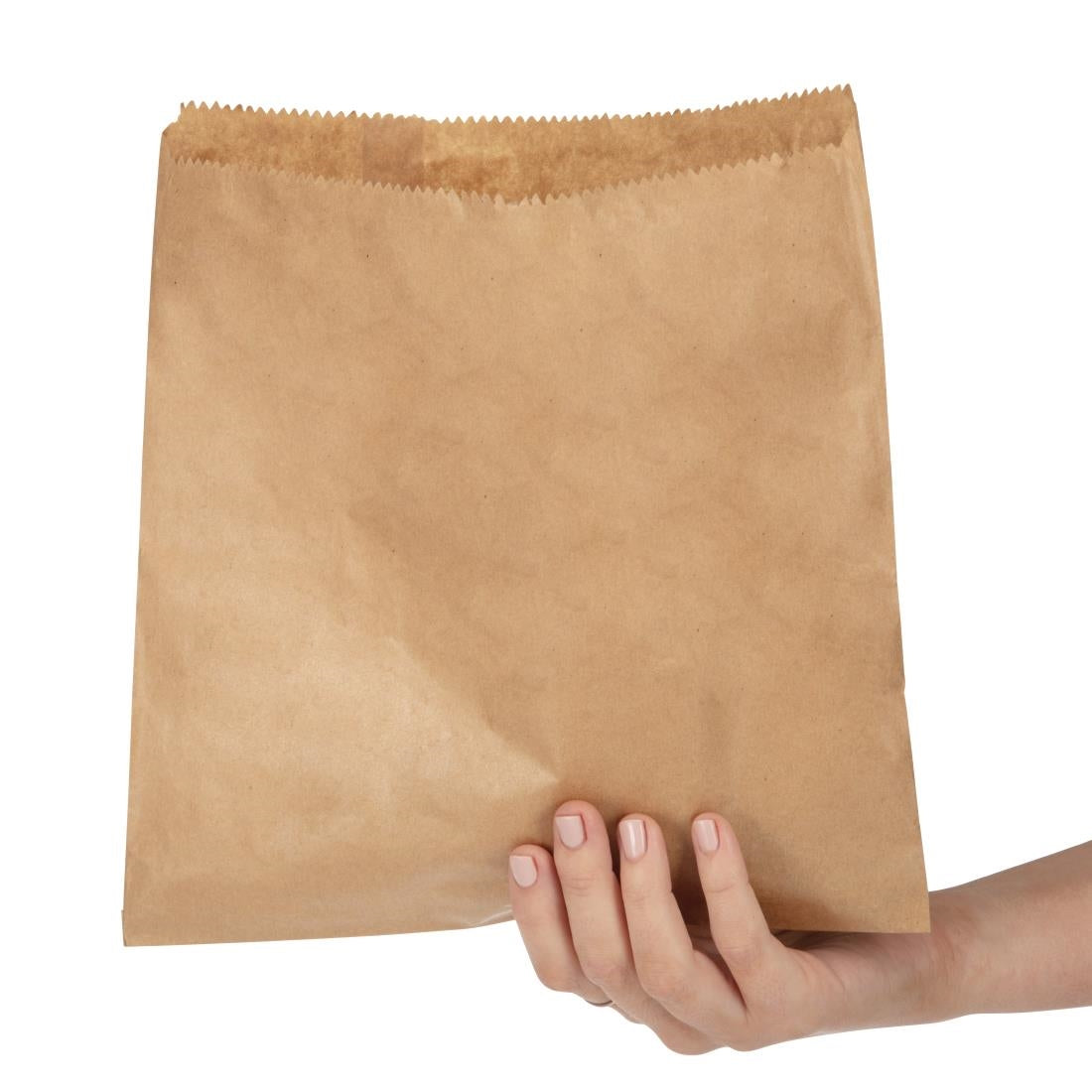 Fiesta Recyclable Brown Paper Counter Bags Large (1000 Pack)