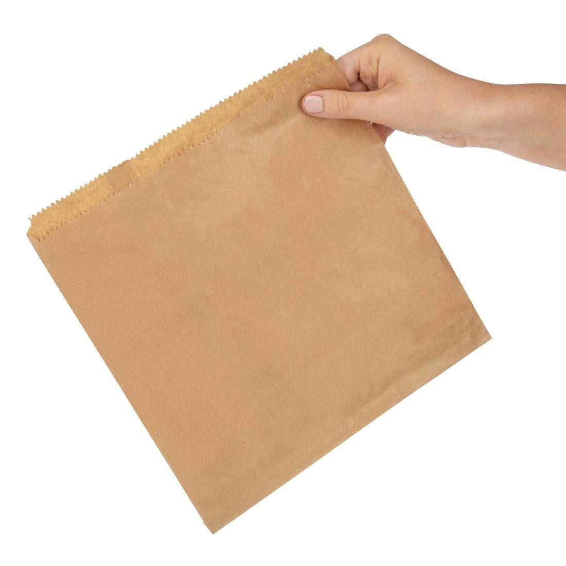 Fiesta Recyclable Brown Paper Counter Bags Large (1000 Pack)