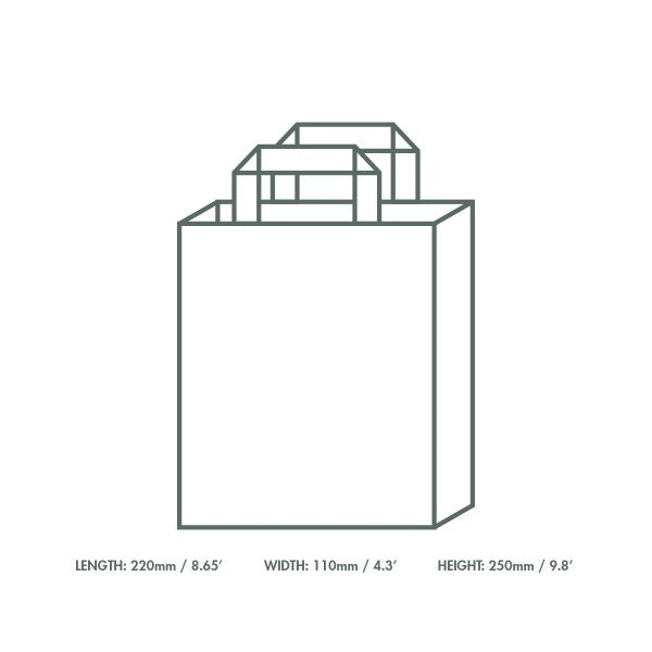 Line drawing of a rectangular shopping bag with two handles, with dimensions labeled: Length 220mm (8.65 inches), Width 110mm (4.3 inches), Height 250mm (9.8 inches).