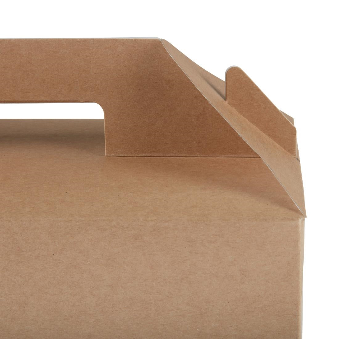 Colpac Recyclable Kraft Gable Boxes Large (125 Pack)