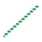 Fiesta Compostable Paper Smoothie Straws Green Stripes - Pack of 250