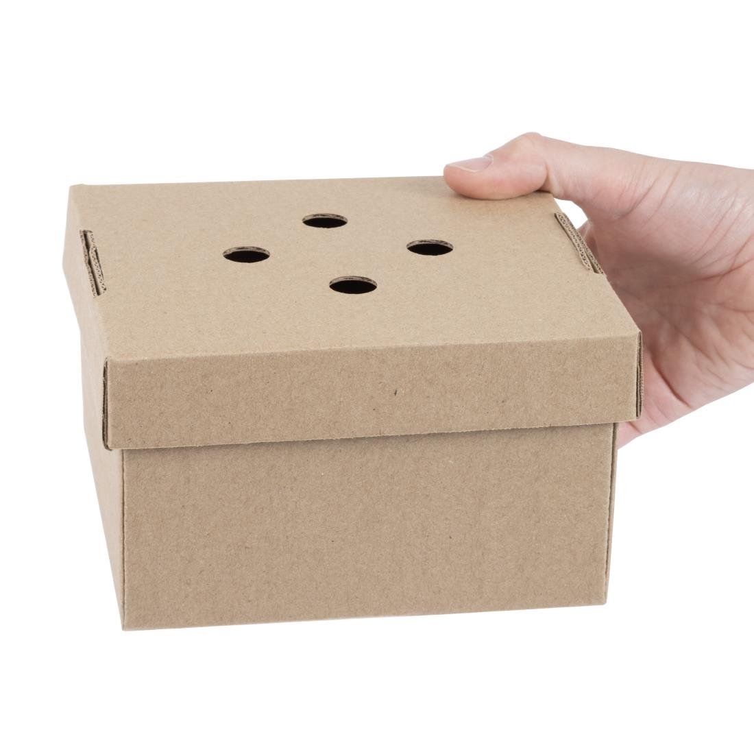 Fiesta Compostable Fold-Out Burger Boxes (100 Pack)