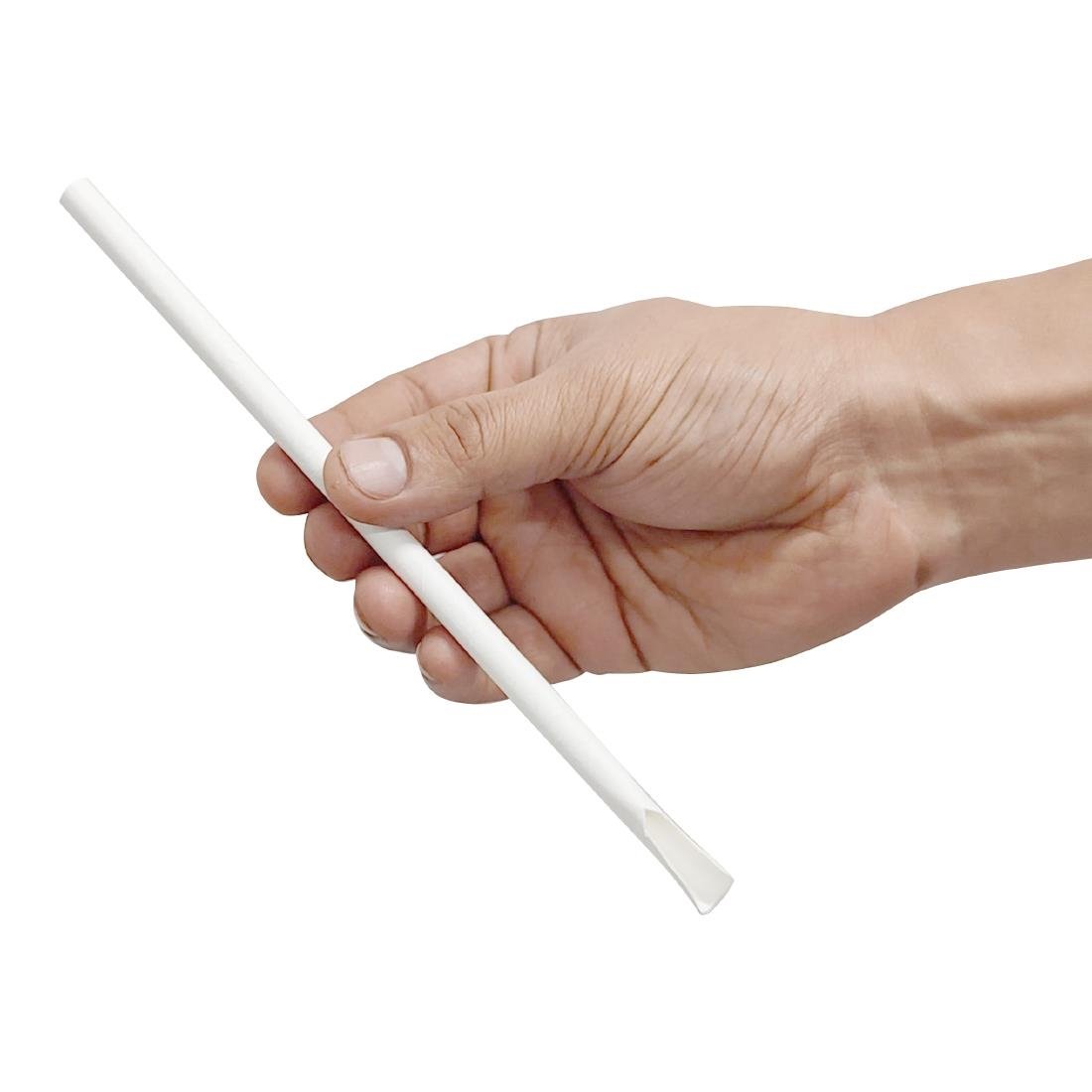 Fiesta Compostable Paper Spoon Straw White 210x8mm (250 Pack)