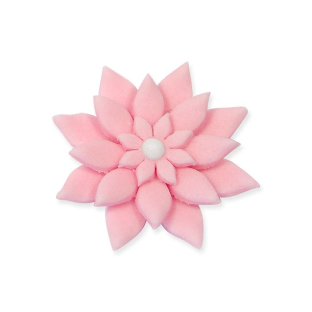 PME Floral Daisy Plunger Cutter Marguerite (4 Pack)
