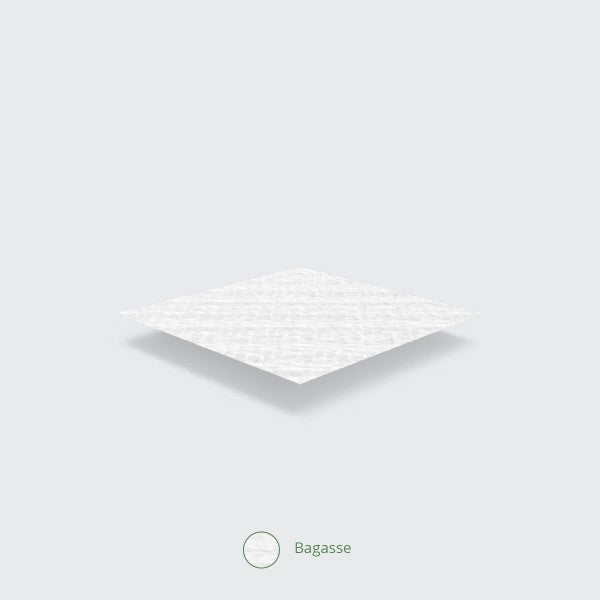 Text 'Bagasse' on a white background with a subtle pattern